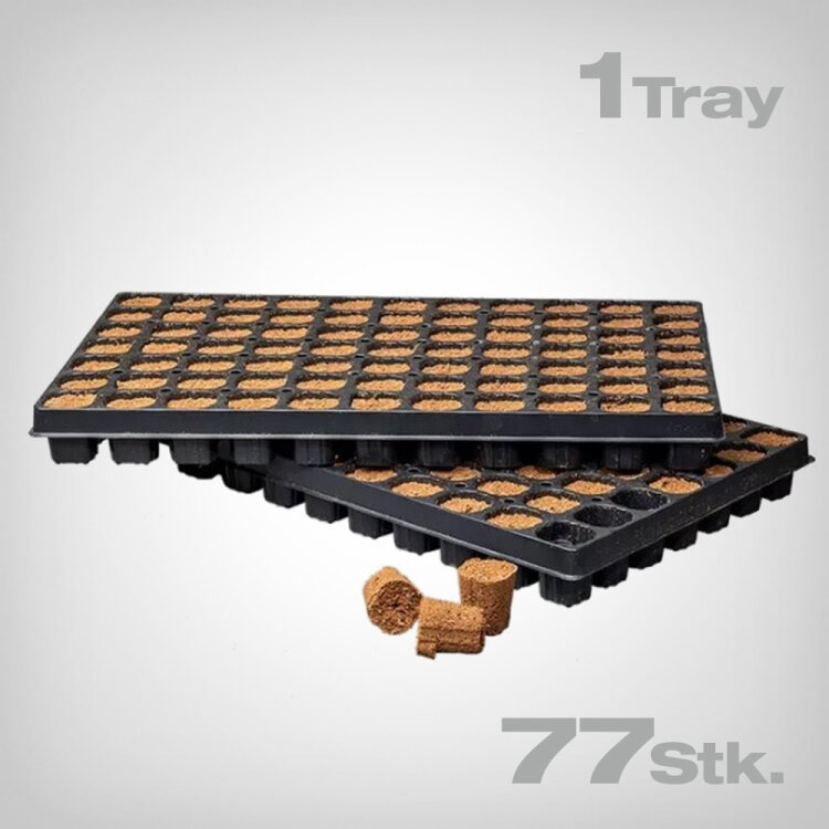 Canna Rootplugs Tray, 77 pcs. – Growmart