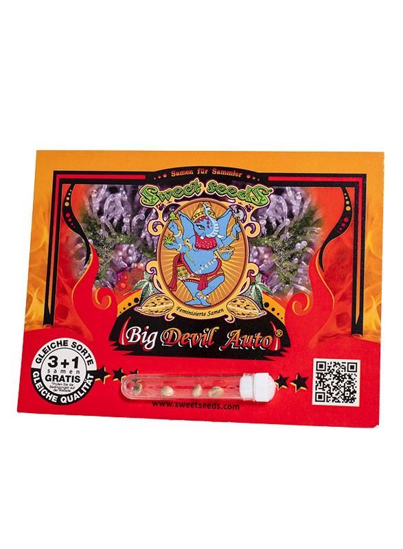 Big Devil Auto – Cannoptikum