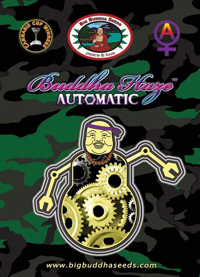 Buddha Haze Auto – Cannoptikum